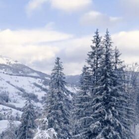 Montagne et sports d'hiver
