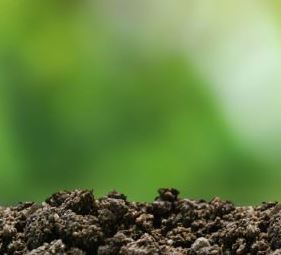 Image représentant l'écoresponsabilité dans le mobilier contemporain